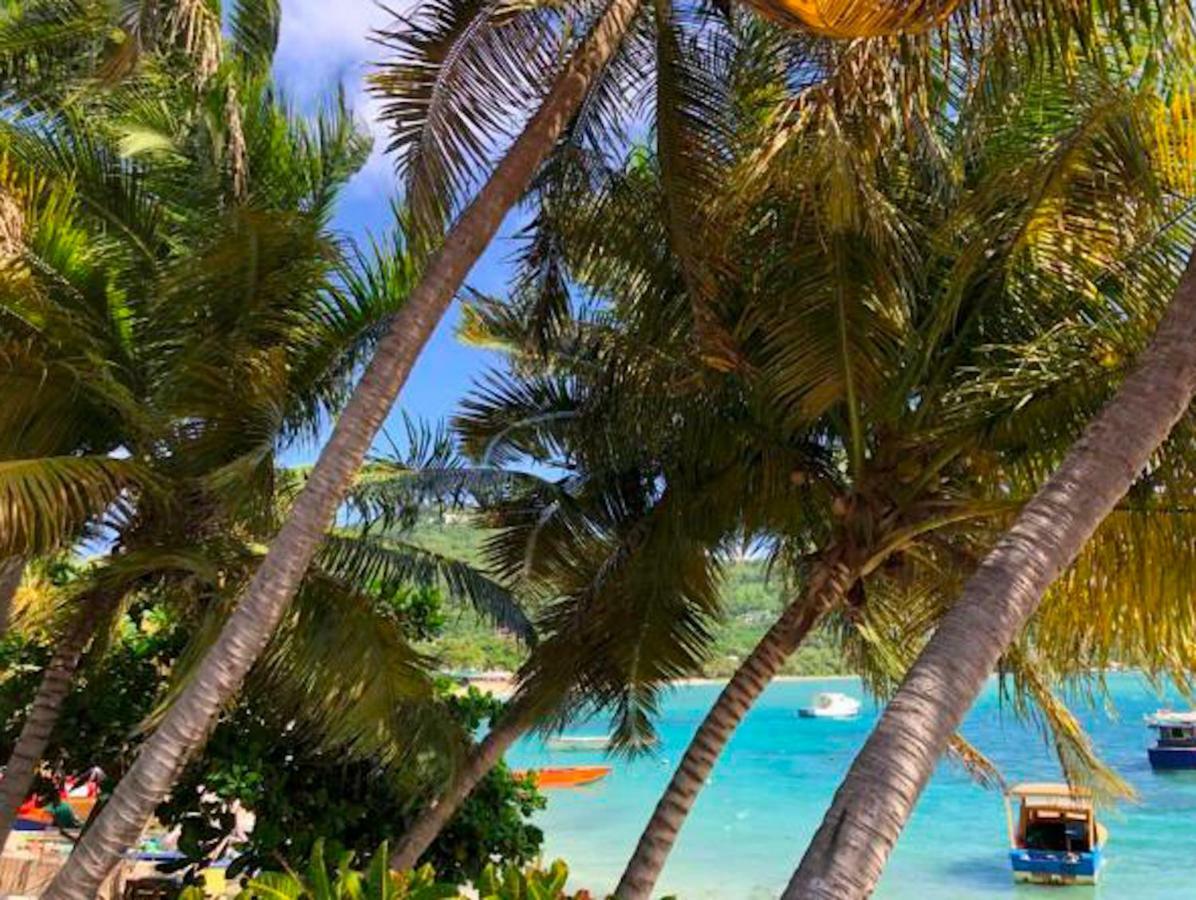 Bequia Beachfront Villa Hotel Friendship Exterior photo